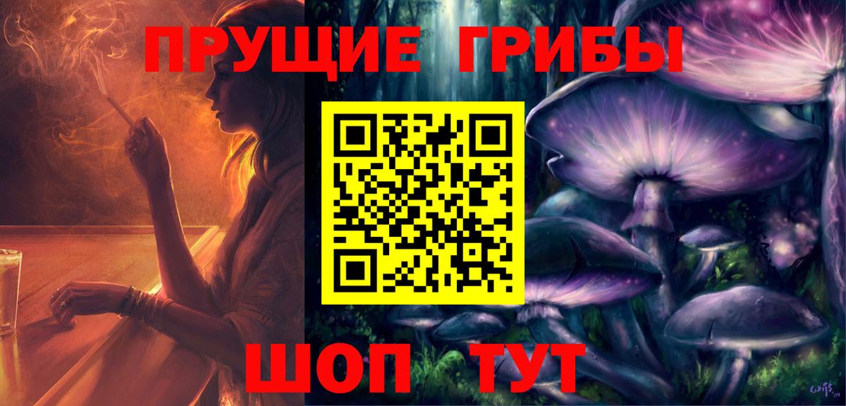 Псилоцибиновые грибы GOLDEN TEACHER Великий Новгород
